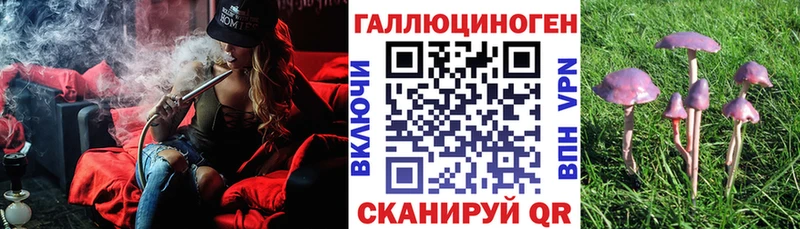 Псилоцибиновые грибы ЛСД площадка состав Междуреченск