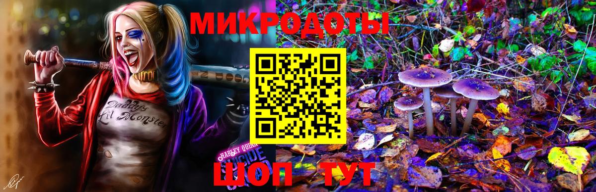 Псилоцибиновые грибы прущие грибы  купить  цена  Междуреченск  Вход с VPN 