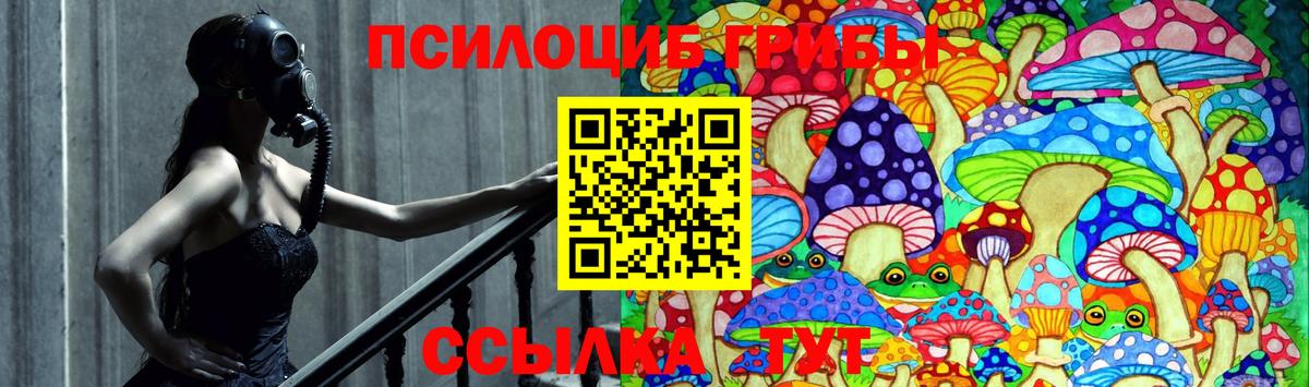 Галлюциногенные грибы GOLDEN TEACHER Междуреченск